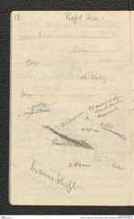 Seite 20, Tagebuch "Stein a/Donau | hinten Landersdorf" (NHMW-PRAE-BBB-34)